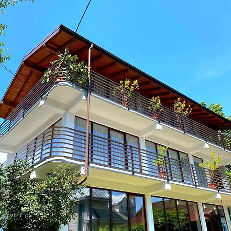 Casa Ionut Hotel Borşa Eksteriør billede
