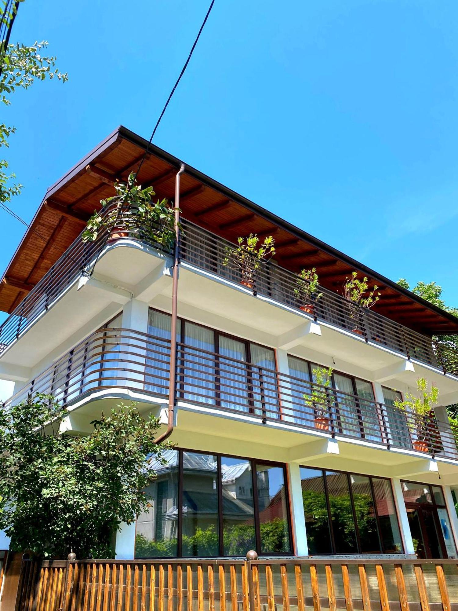 Casa Ionut Hotel Borşa Eksteriør billede