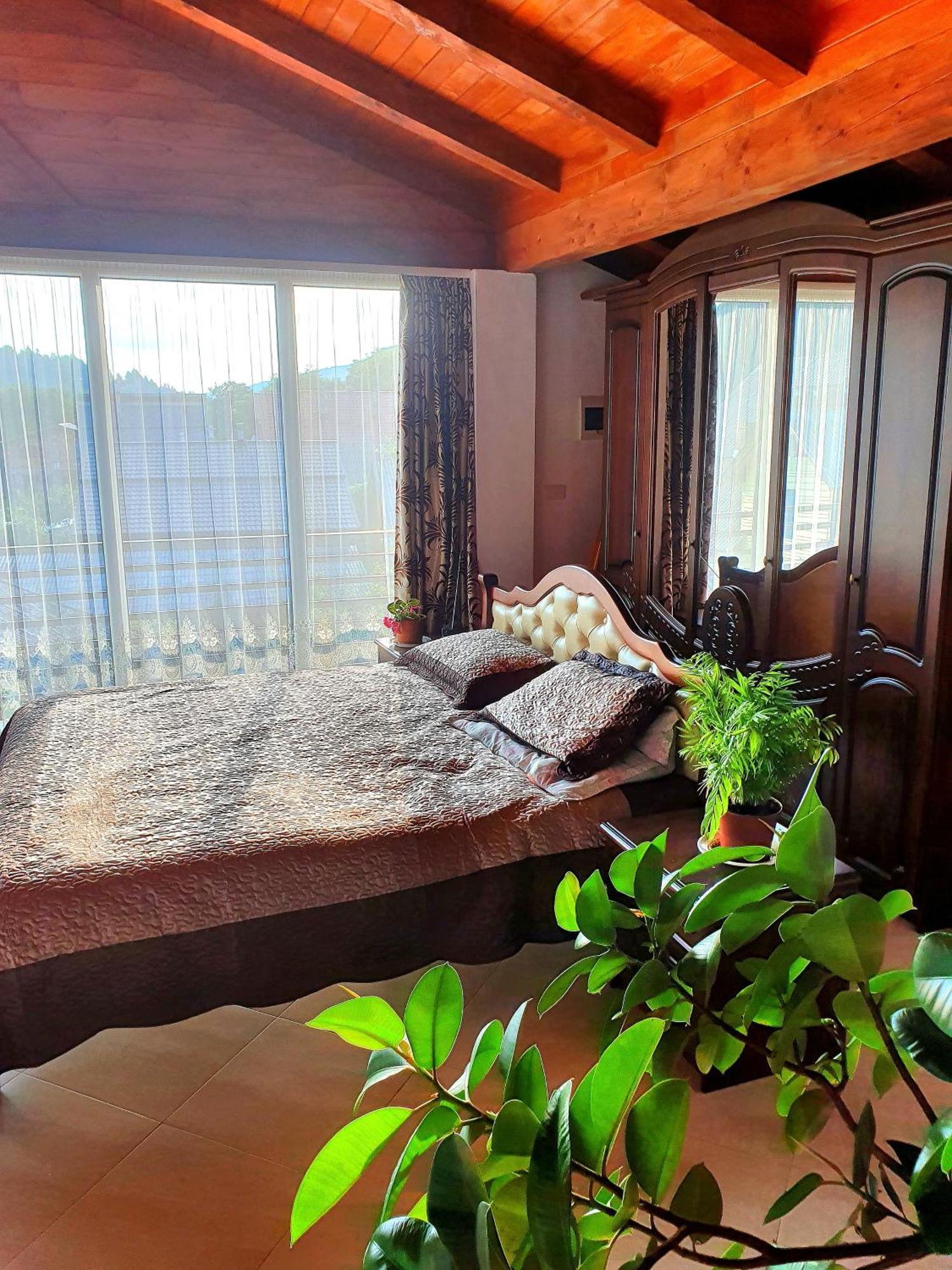 Casa Ionut Hotel Borşa Eksteriør billede